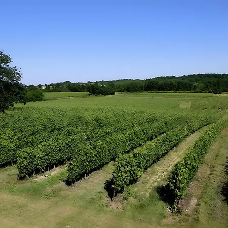 Le Chateau - Chateau Le Noble Villa Saint-Germain-du-Puch