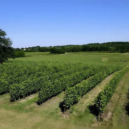 Le Chateau - Chateau Le Noble Holiday home