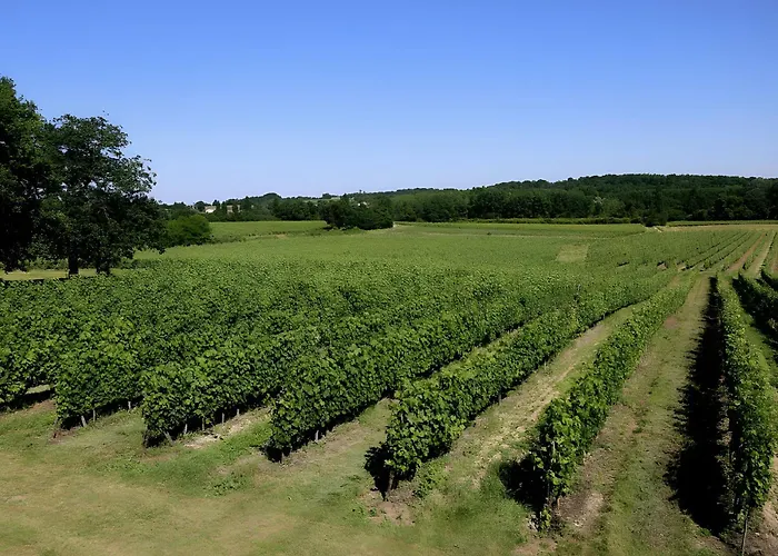 Le Château - Château Le Noble Villa Saint-Germain-du-Puch