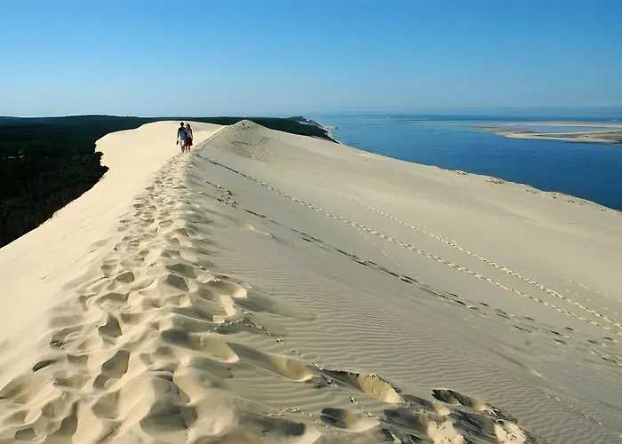 Le Château - Château Le Noble Villa *